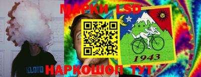 сатива Шелехов