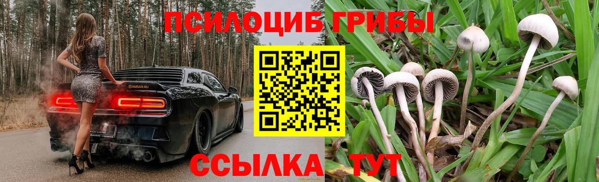 Псилоцибиновые грибы GOLDEN TEACHER  Вход с VPN  наркошоп  Троицк 